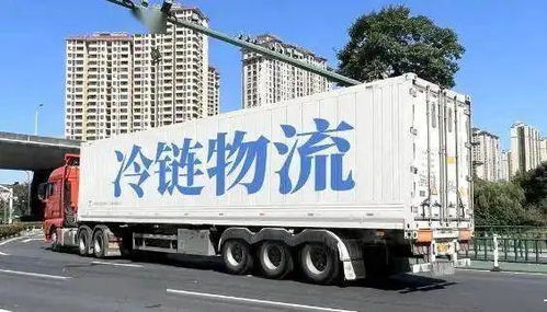 價值鏈再造視角下的農(nóng)產(chǎn)品冷鏈物流發(fā)展淺析